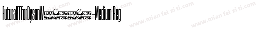 FuturaBTforDysonW05-Medium Regular字体转换